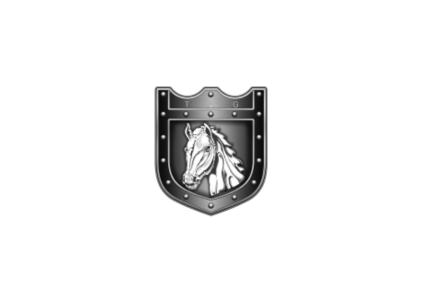 Brand Evolution Project